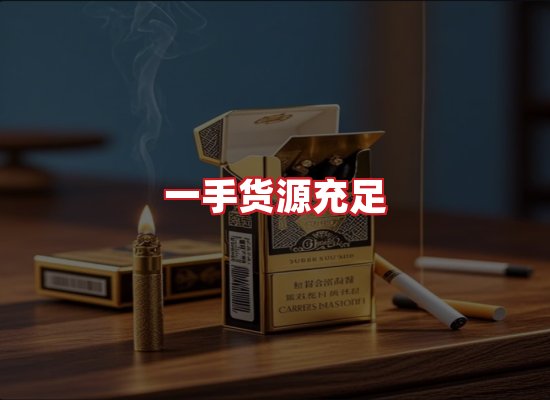 专业团队